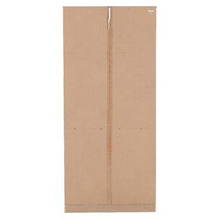 Earth Wooden Wardrobe With 2 Doors In Grey