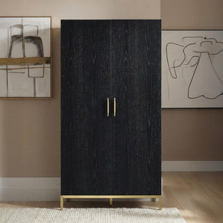 Tulip Wenge Black 2 Door Wardrobe product view